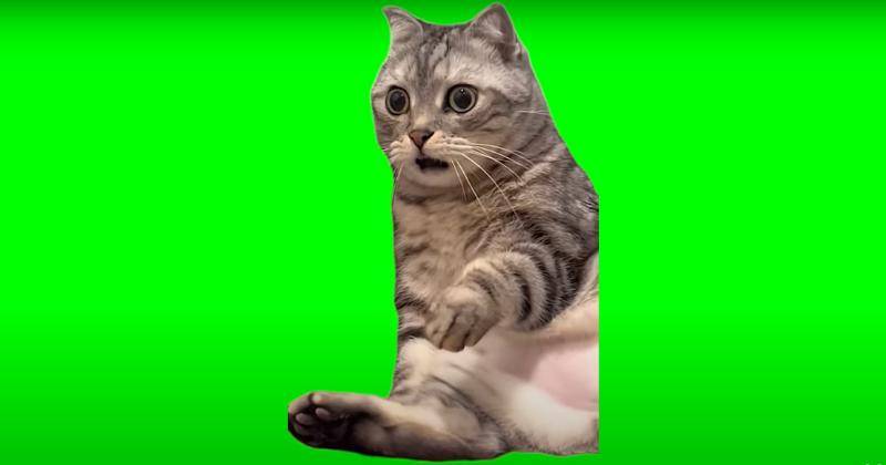 Youtube.com/YadoGreenScreen